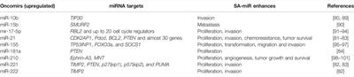 Senescence-Associated miRNAs and Their Role in Pancreatic Cancer